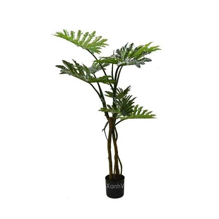 Cây Trầu Bà Giả Thân Cổ Đẹp Giống Thật 